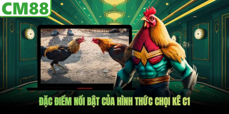 Đặc điểm nổi bật của hình thức chọi kê C1