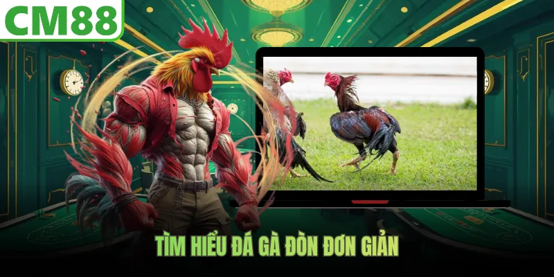 Tìm hiểu đá gà đòn đơn giản
